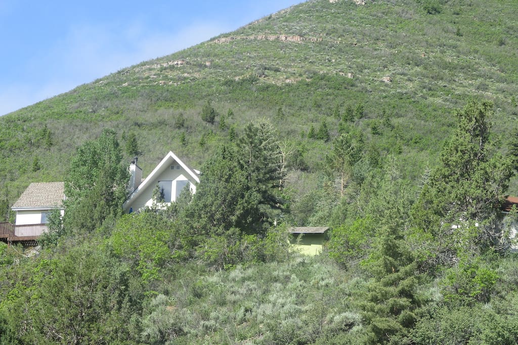 View of house from street below.