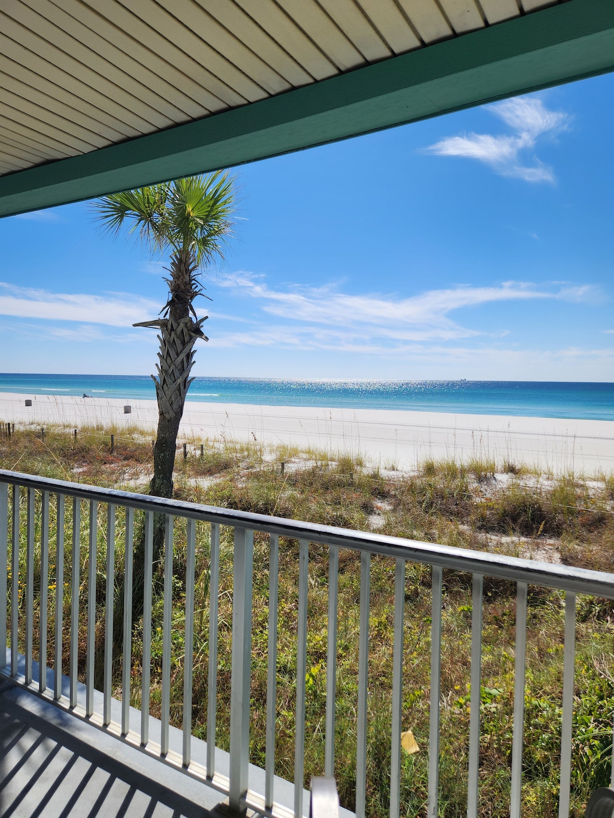 A view from the patio showcases a pristine beach accented by soft white sand and gentle waves. A lone palm tree stands nearby, with clear blue skies above and the shimmer of sunlight reflecting on the water's surface.