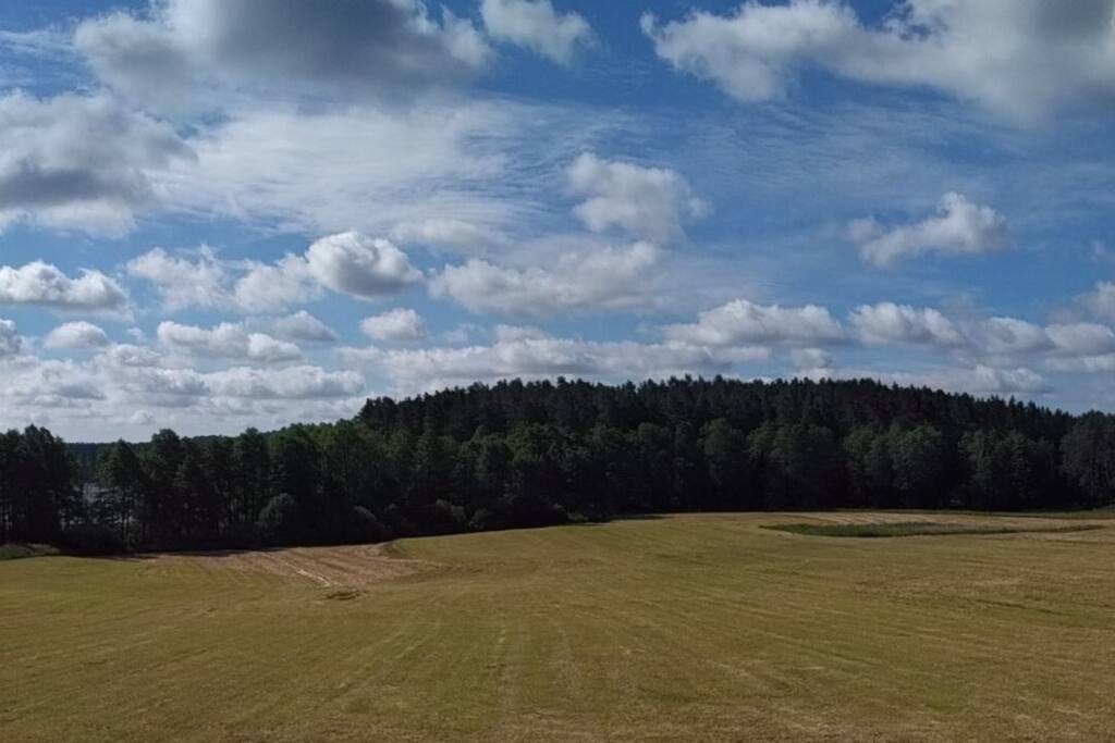 Widok z okna