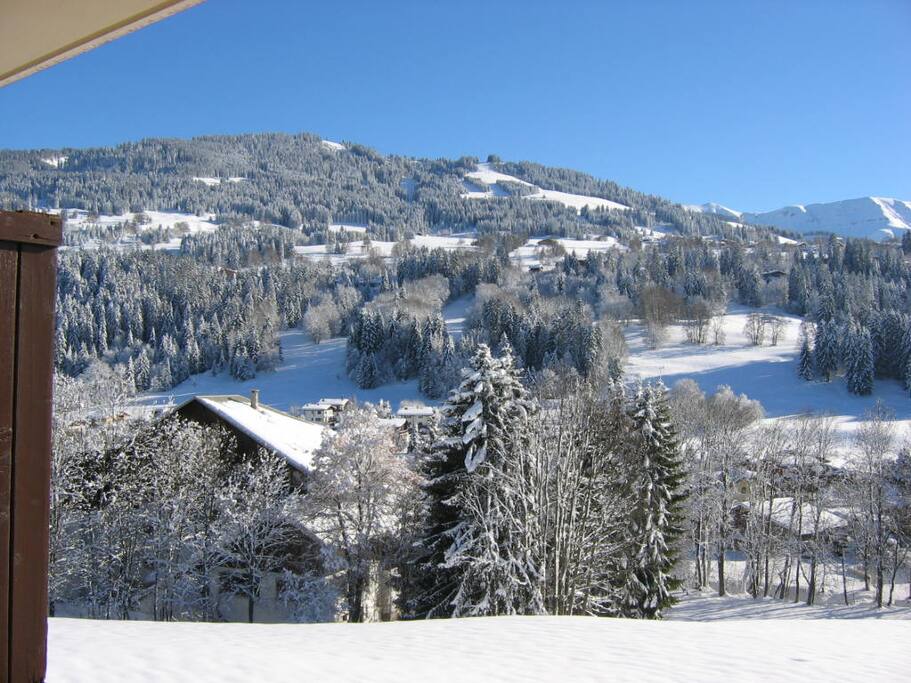 Vue du balcon sur le Mont d'Arbois
