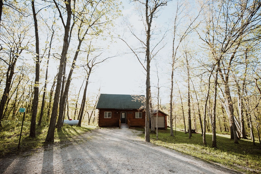 The cabin is set within a lush green forest, surrounded by tall trees and dappled sunlight. A gravel path leads up to the inviting front door, which is framed by large windows, enhancing the natural light that spills into the space.
