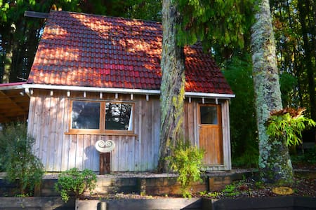 Kauri Cottage - Native Bush Retreat