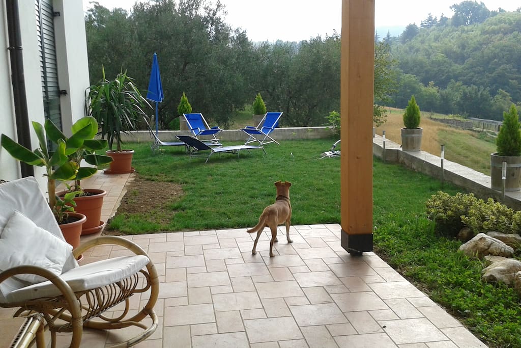 la terrazza davanti