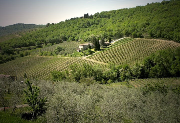 View of the Chianti Valley