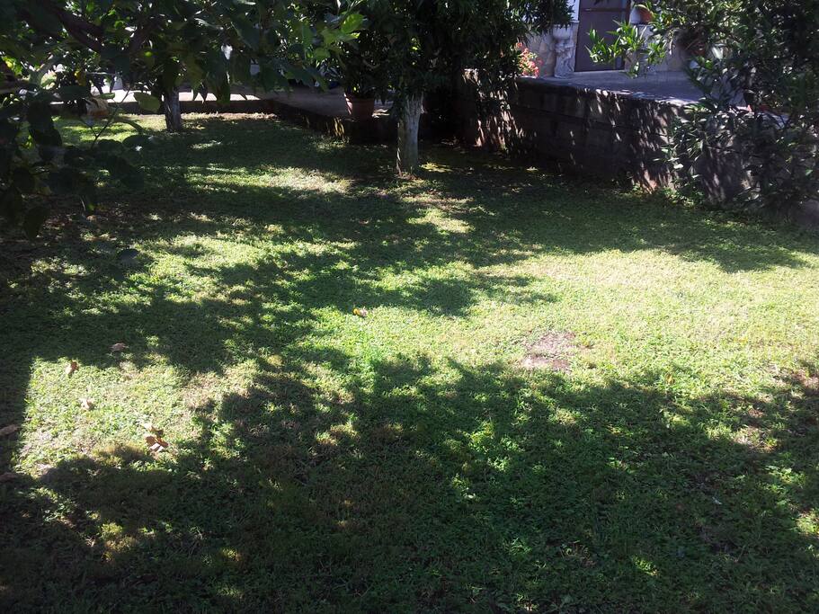 Giardino a disposizione degli ospiti