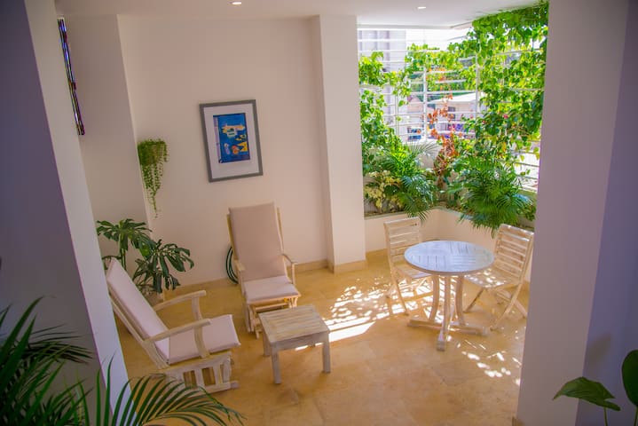 El Cactus Apartamentos  (Presidencial)