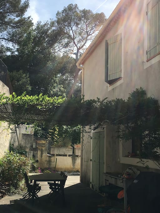 Coin repas sous la glycine
