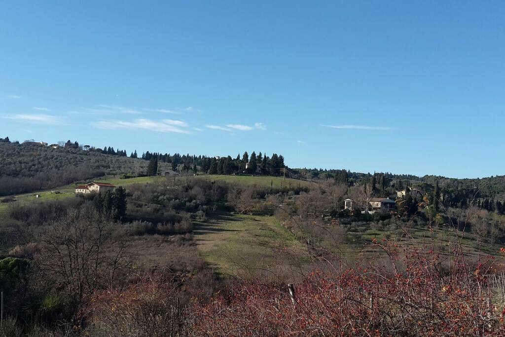 casa presa dal bosco