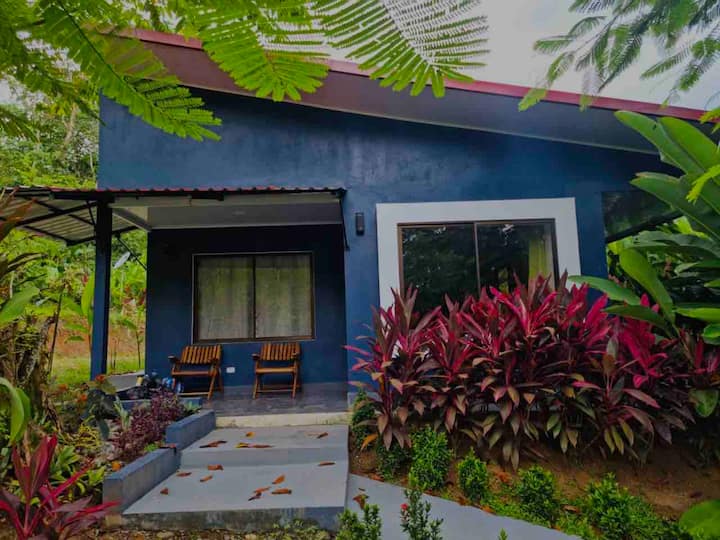 La Casa De Kobü Casas de campo en renta en Puerto Viejo de Talamanca