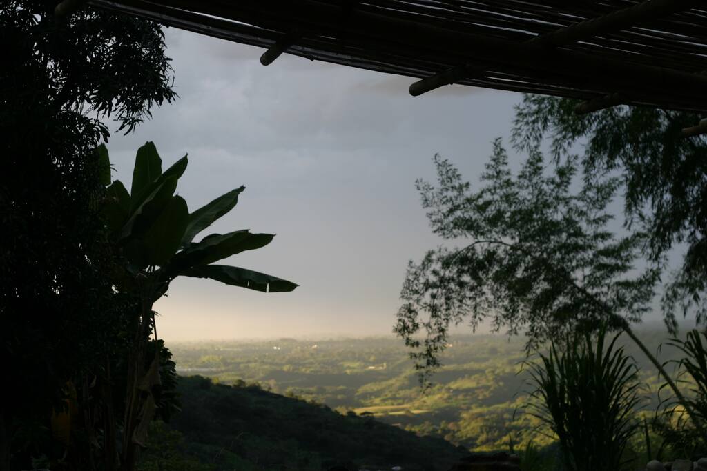 View from the hammocks