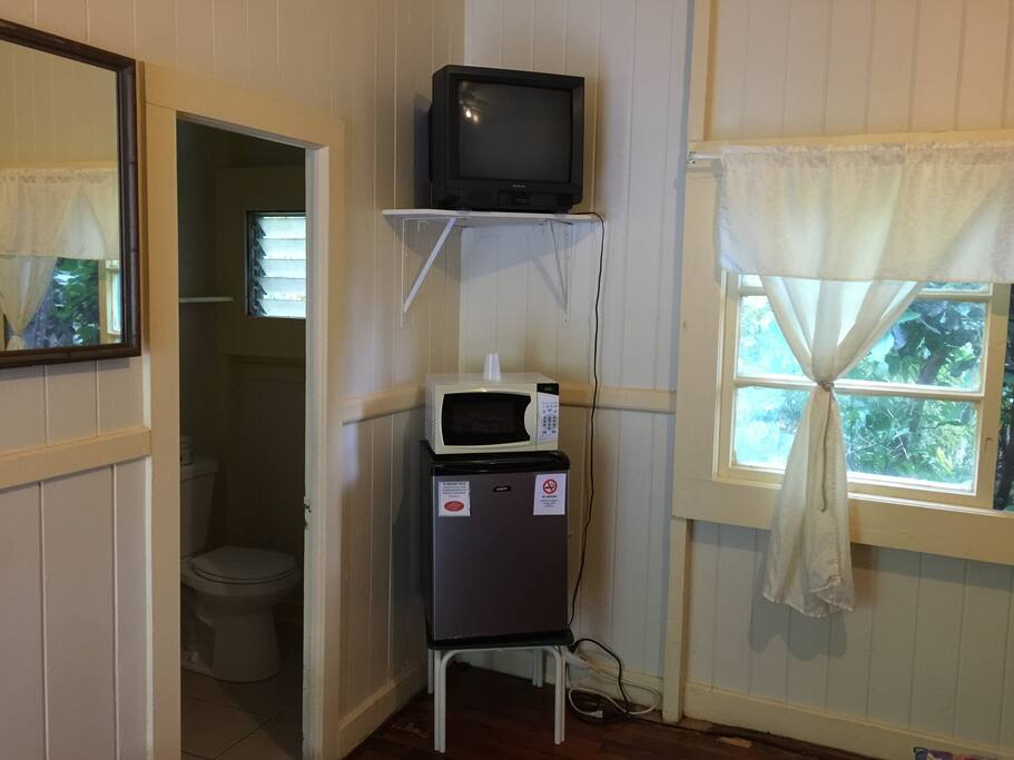 TV, Microwave and Mini Refrigerator