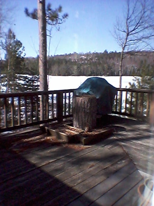 View from patio