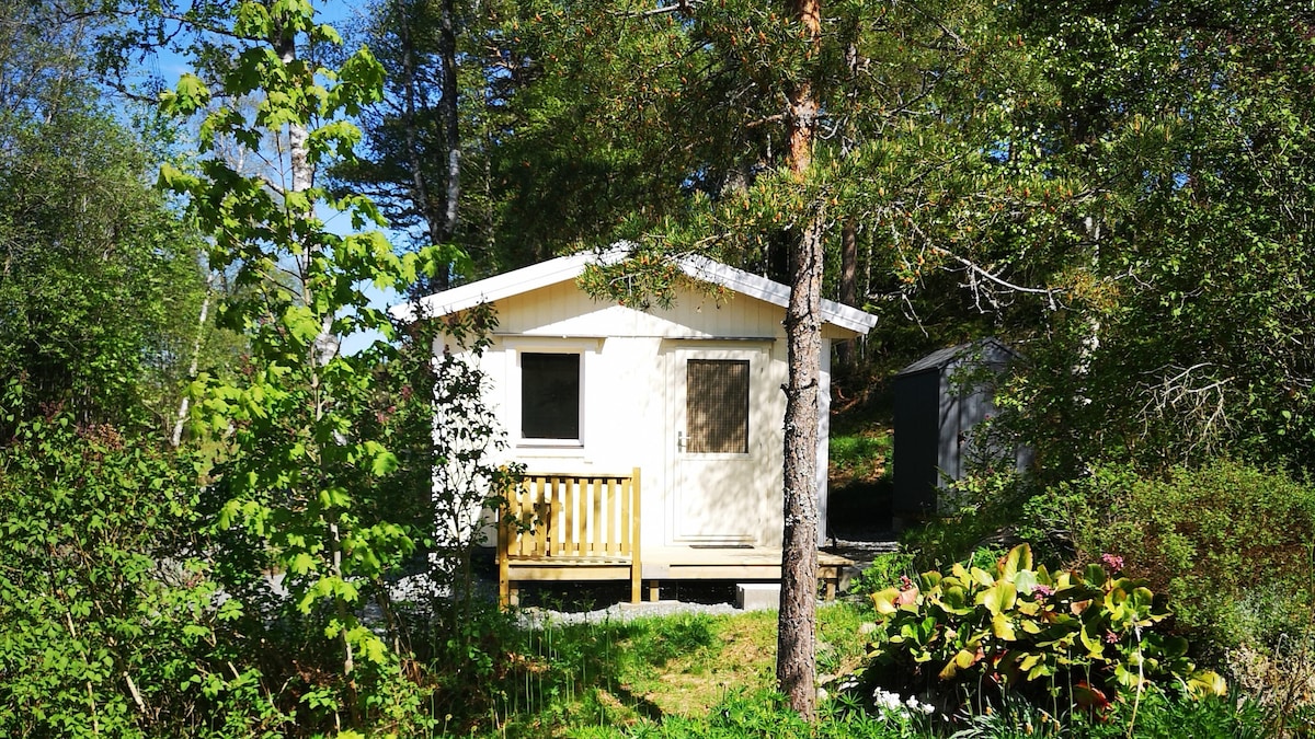 A single-story cabin is nestled among lush greenery, with a small porch framed by trees. Natural light enters through the large window, and colorful plants surround the cabin, enhancing the tranquil setting.