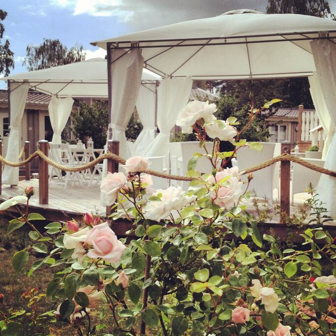 The garden, summer time.