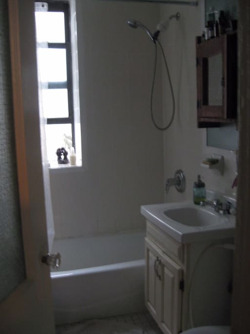 Bathroom is clean and bright with good water pressure and plenty of hot water. There is a washer and dryer in the apartment.