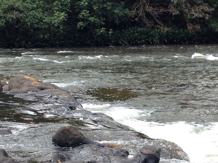 Bordering Rapids