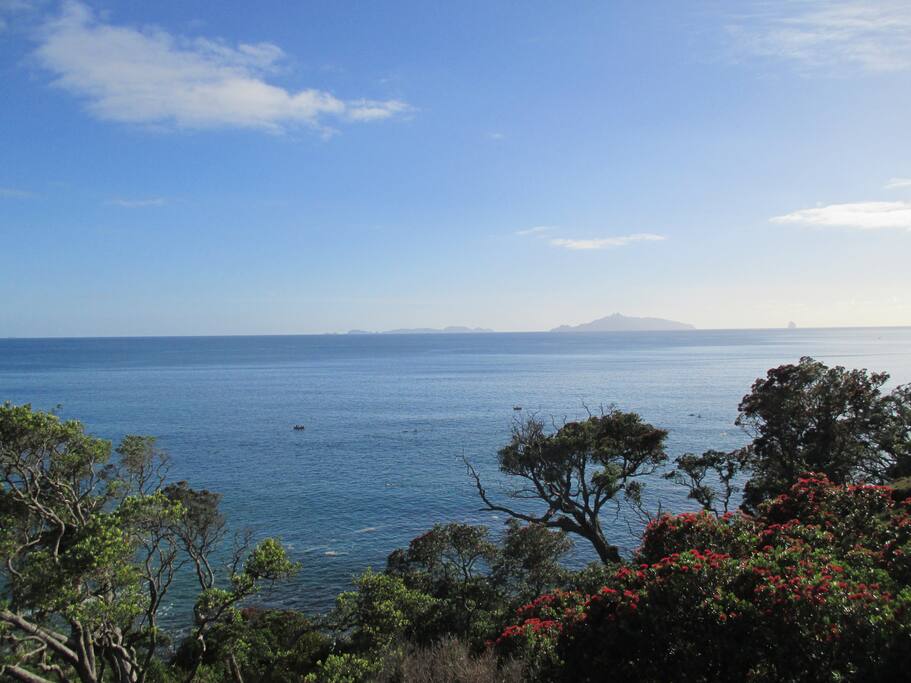 Panoramic views of Bream Bay