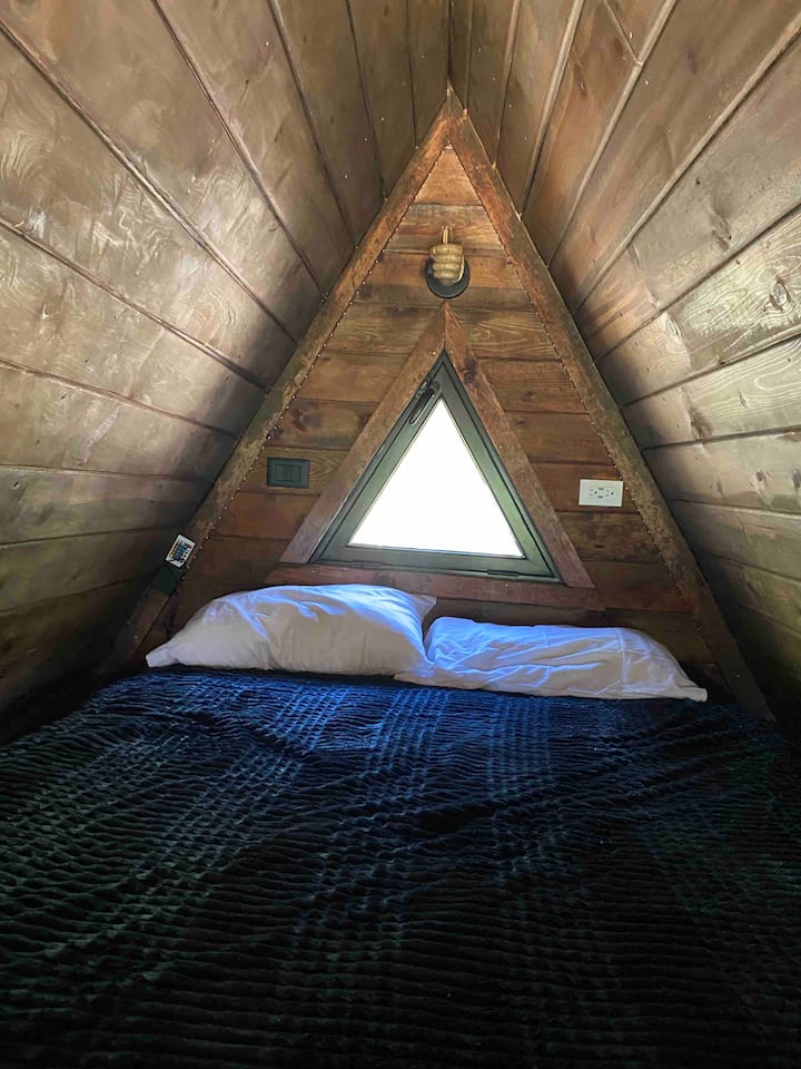 Ყველაზე სახალისო და თბილი საწოლი უმაღლეს დონეზეა 