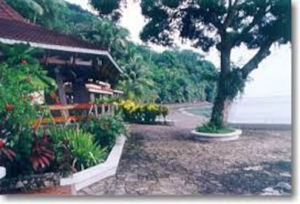 View of Rancho.