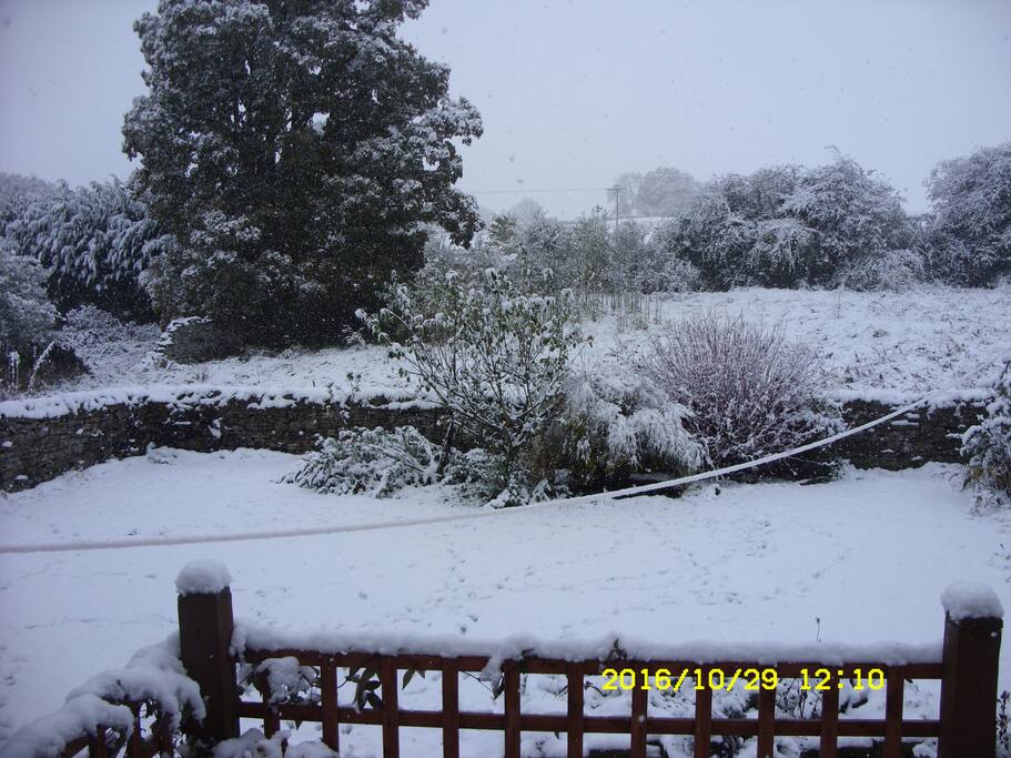 Views over garden in winter snow