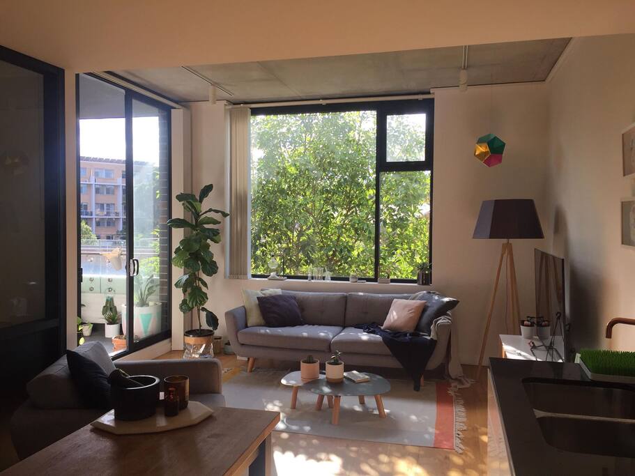 Sun filled lounge room