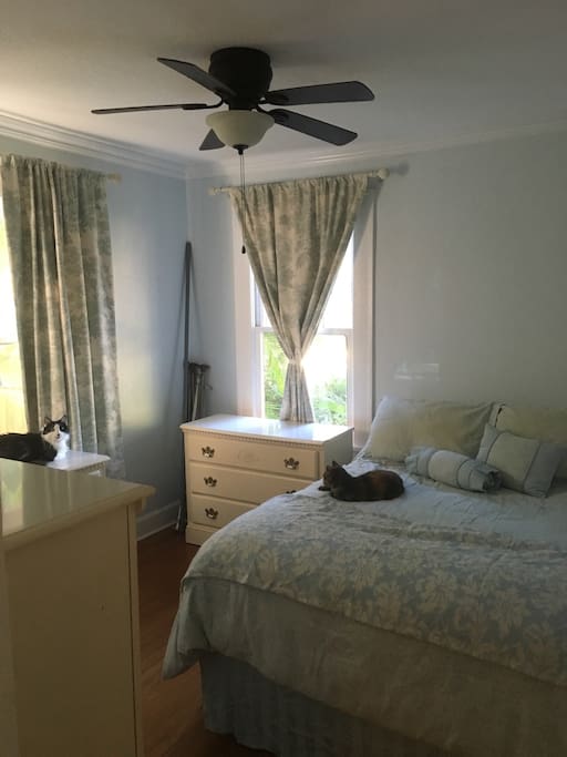 Guest bedroom. These are our two friendly indoor only cats that life with us. The bed is full sized.