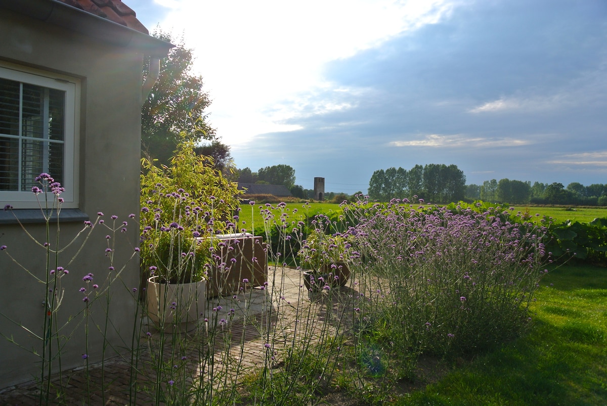 A private terrace is seen beside the cottage, adorned with blooming lavender plants and a variety of lush greenery. A sunlit landscape stretches into the distance, revealing open fields framed by trees under a softly clouded sky.