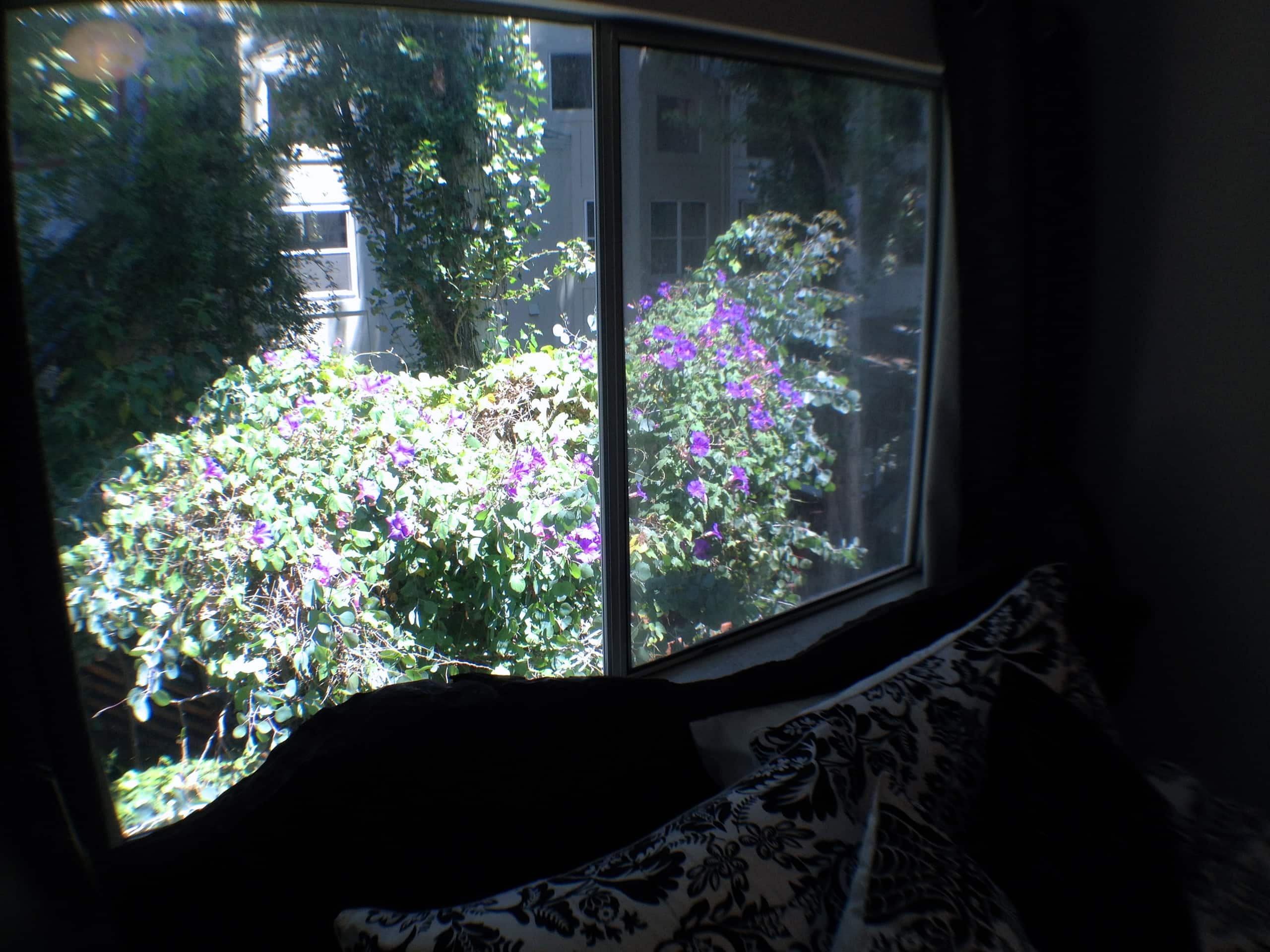Home in San Francisco · ★4.91 · 2 bedrooms · 2 beds · 1 bath - Image 25