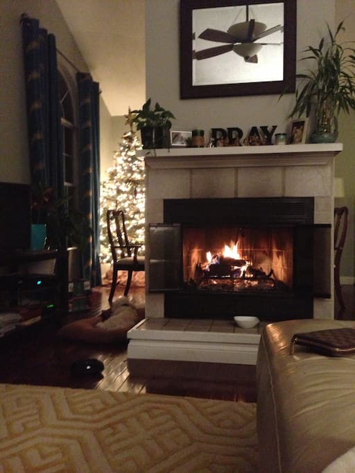 Wood burning fireplace!