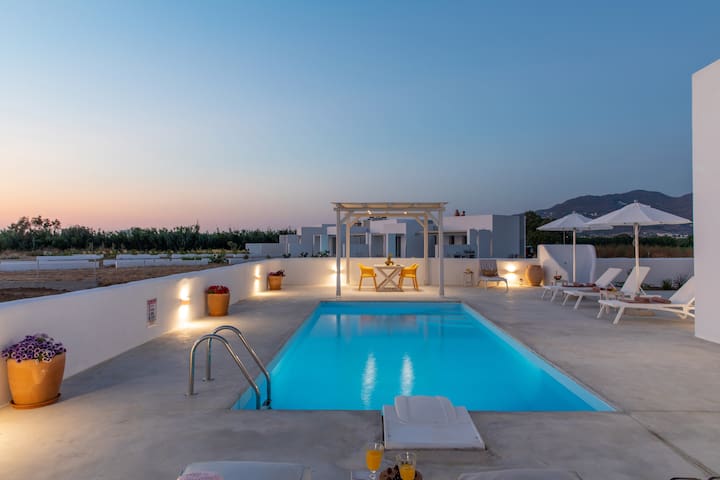2 Villas | 2 Pools | 3 BDR | Naxian Lounge