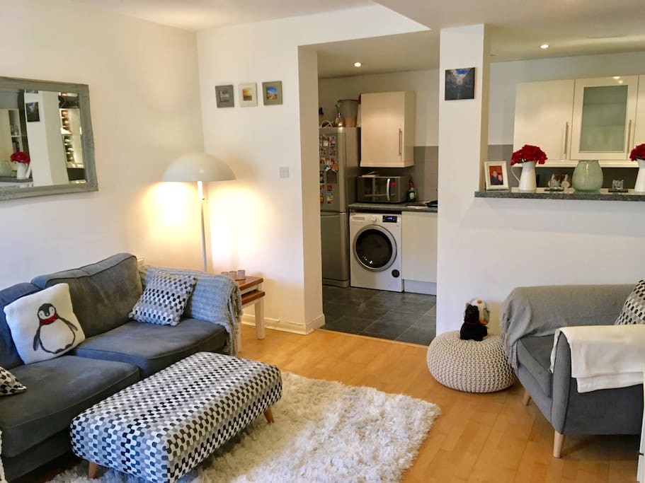 Open plan living / kitchen area
