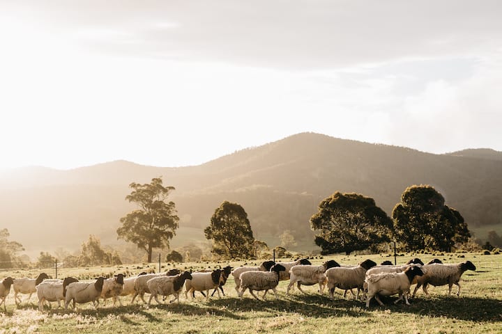 Tranquil rural setting