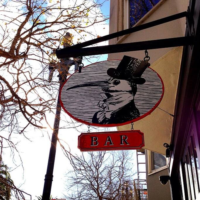 Photo of Blackbird in The Castro
