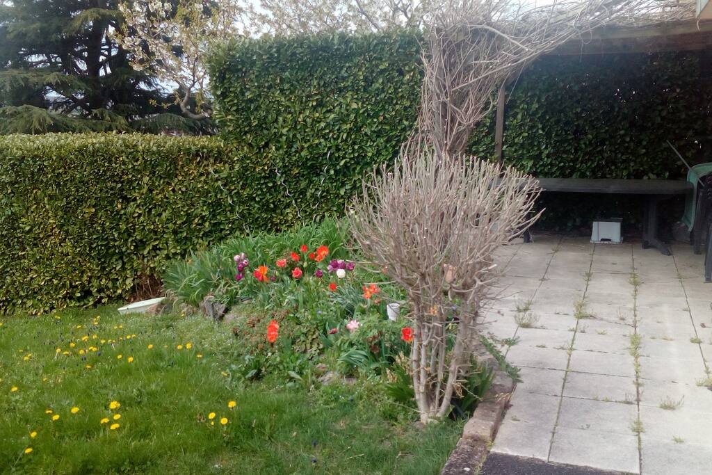 possibilité de faire plancha sur terrasse ombragée