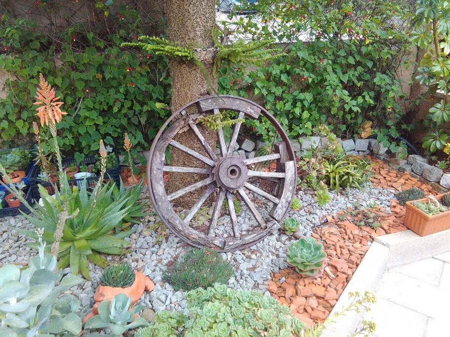 Jardim/Garden
