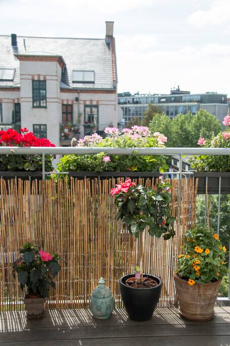 View of Vesterbro