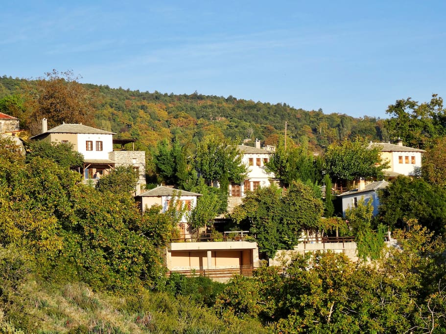 Villa Iris situated well between the lush surrounding nature