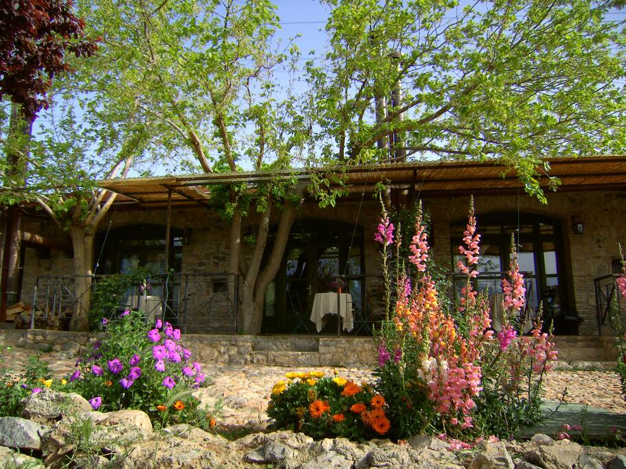 The Centaurs guest-house