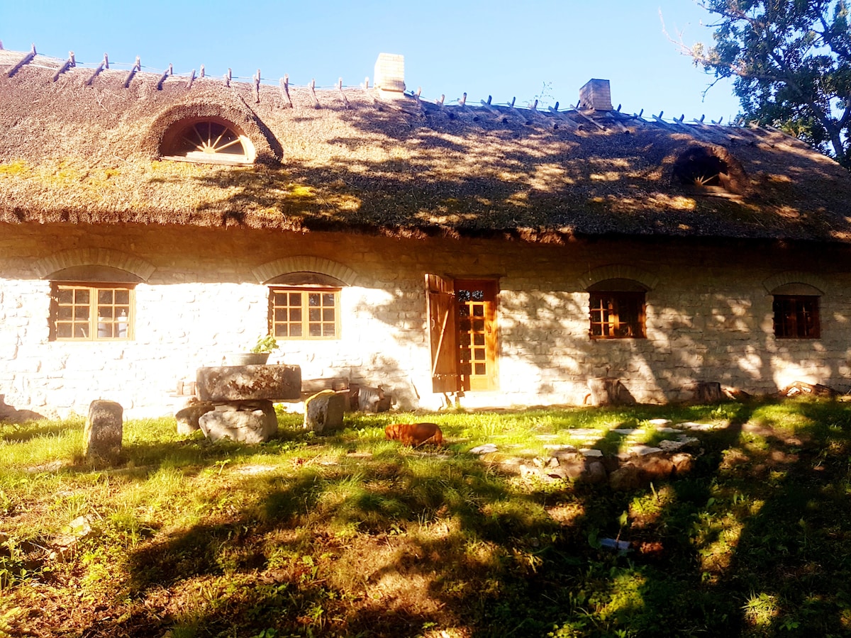 A traditional country house with a thatched roof is set against a bright blue sky. Sunlight filters through trees onto the grassy yard, where natural stones are placed. Large windows frame the inviting entrance, showcasing the rustic charm of the exterior design.