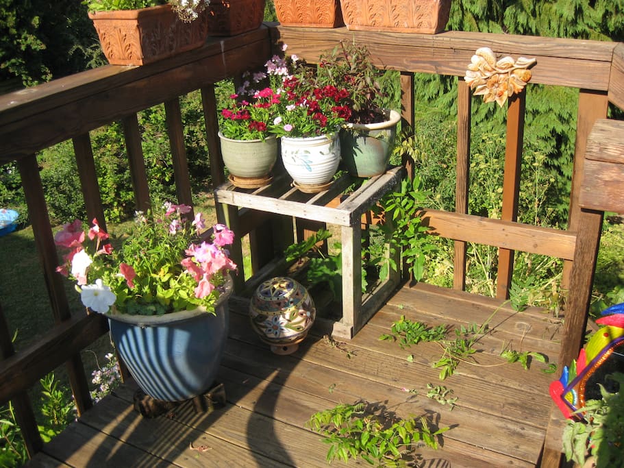 Back deck off the kitchen. There's a table, umbrella, chairs for 6. Not as many plants this year though.