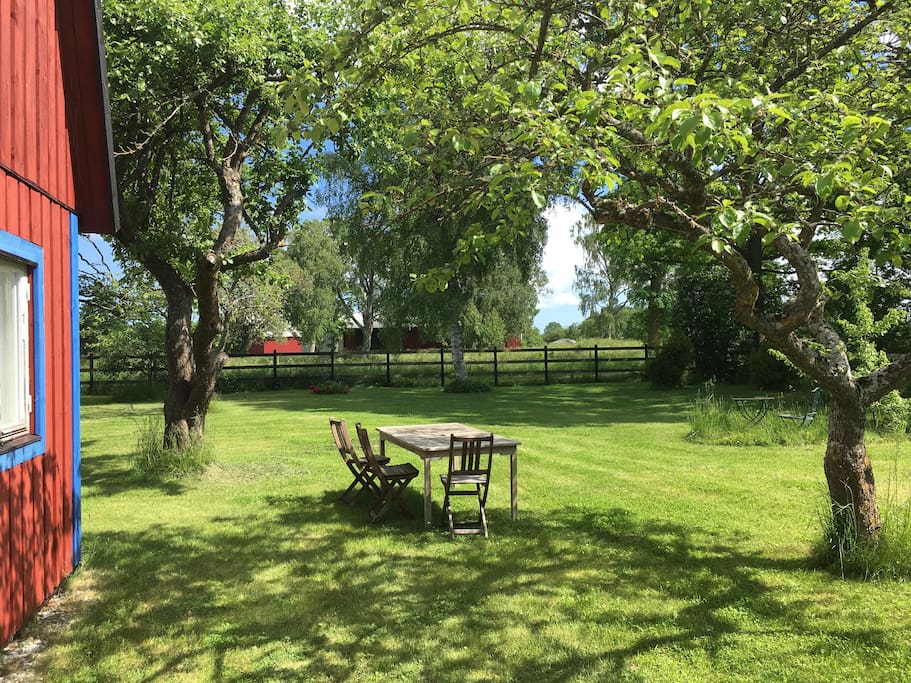 Private part of the garden