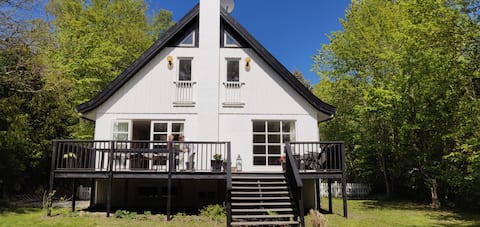 Beautiful Villa 300 m from Hornbæk Beach