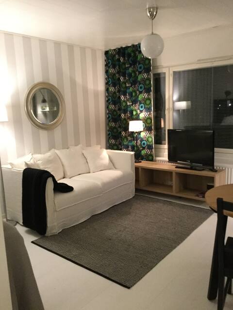 Beautiful studio in the center of Kuhmo.