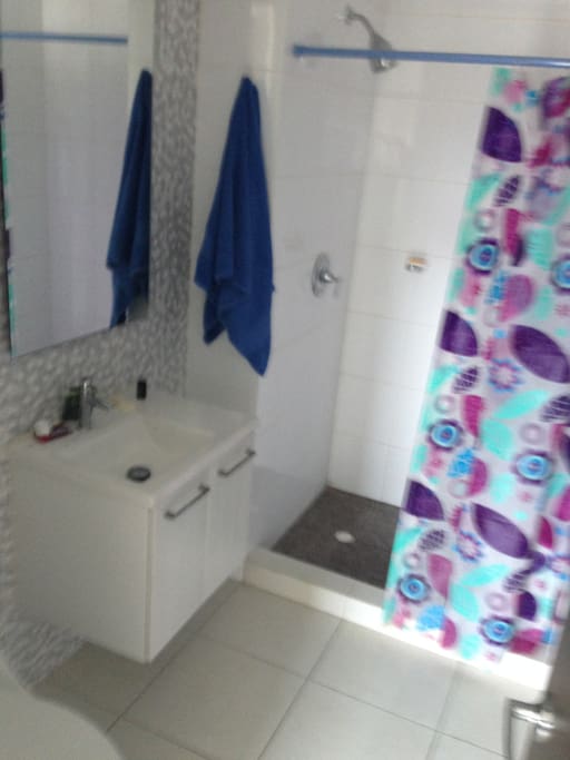 Private complete bathroom with shower