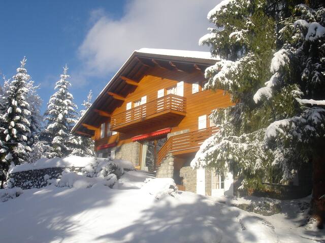 Lovely Chalet Villars ski-golf-bike 6-14P flexrate gallery image 3