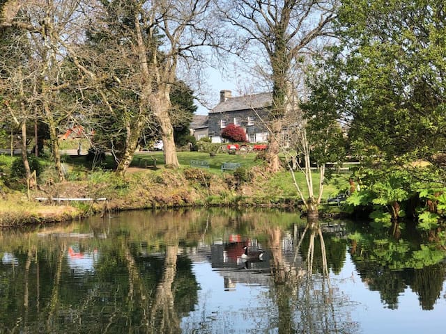 Peace and quiet in the Cornish countryside
