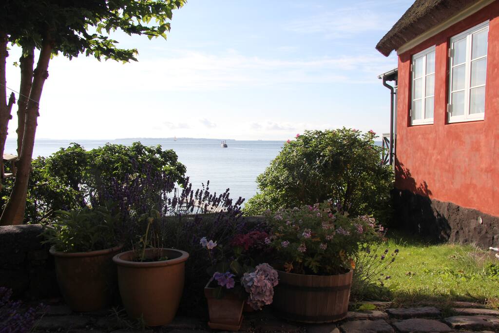 Udsigt over Øresund fra køkkenterrasse