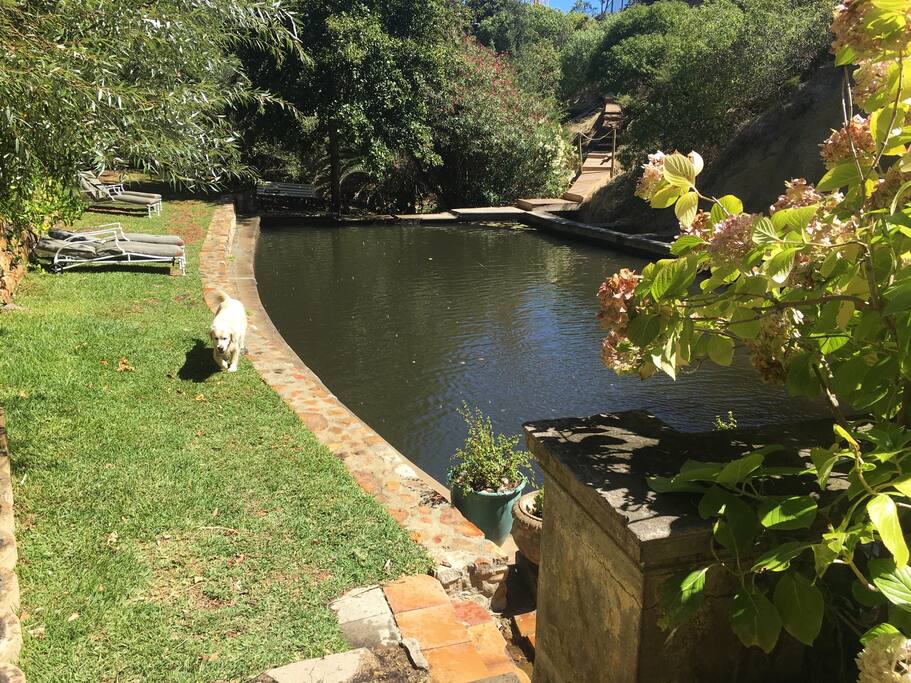 Mountain Pool with loungers