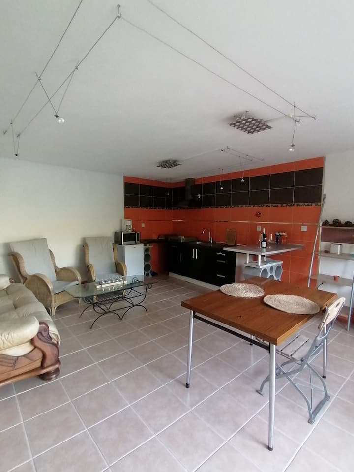Appartement Agréable Avec Vue Et Garage - Castelo de Paiva