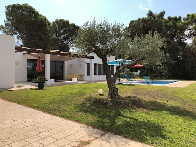 Beautiful house with pool gallery image 2